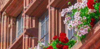 Warto zadbać o swoje zdrowie i zapisać się do centrum sportowego