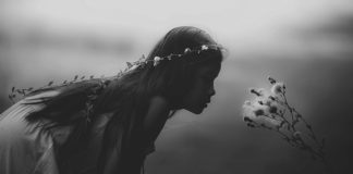 Moda ma siłę dzielenia