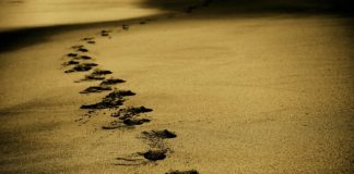 Odpowiednie poszukiwania