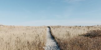 Najbardziej popularne rodzaje turystyki