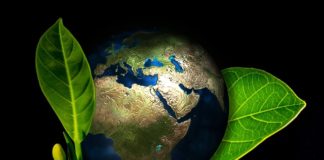 Ludzie pomagają ludziom