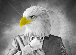 Polityka: najświeższe informacje