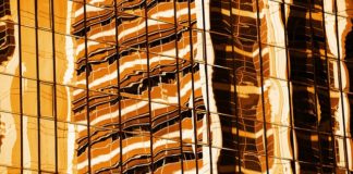 Obrałem własną drogę