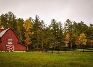 Okno bez smug Okno bez smug