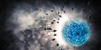 Rozmnażanie płciowe