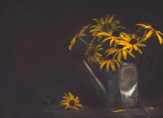 Jak zrobić system podlewania?