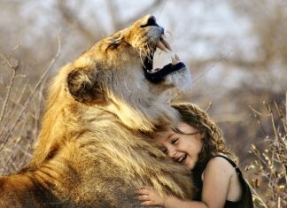 Jaka jest najlepsza Toyota?