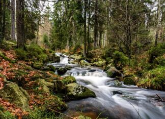 Dlaczego nie dochodzi do wytrysku?