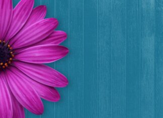 Ile może być gości na ślubie cywilnym? Ile może być gości na ślubie cywilnym?