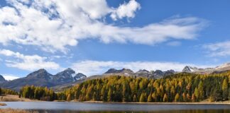 Ile za staż małżeński?