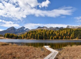 Ile za staż małżeński?