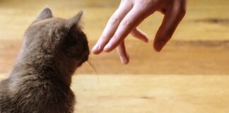 Co zbliża ludzi w związku?