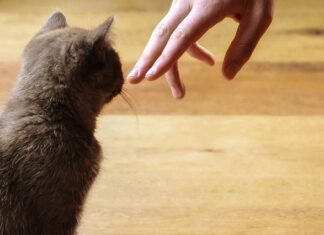 Co zbliża ludzi w związku?