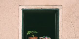 Czy można podlewać woda ze stawu?