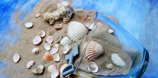 Czy wesela w tygodniu są tańsze?