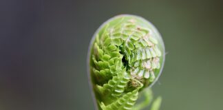 Kto częściej kończy związek?