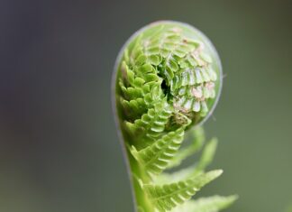Kto częściej kończy związek?
