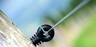 Ile procent Polaków kupuje nowe samochody?