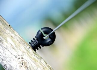 Ile procent Polaków kupuje nowe samochody?