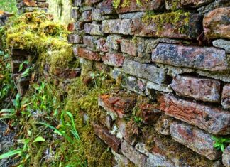 Dlaczego moje małżeństwo się rozpada?