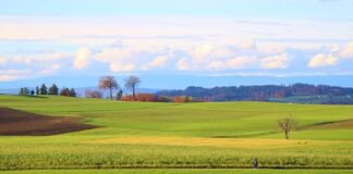 Ile to jest 10000 brutto na netto?