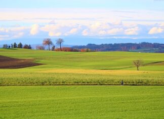 Ile to jest 10000 brutto na netto?