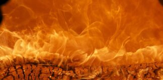 Która marka jest lepsza Kia czy Hyundai?