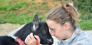 Jakie czułości lubią mężczyźni?