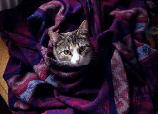 Czy jeśli ktoś o nas myśli to nam się śni?