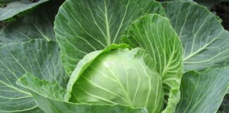 Jakie są powody że związek się rozpada?