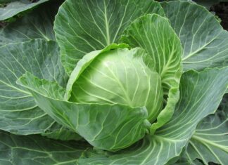 Jakie są powody że związek się rozpada?