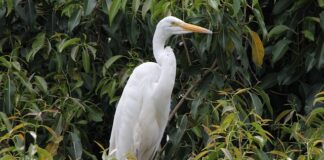 Gdzie mieszkać po ślubie?