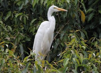 Gdzie mieszkać po ślubie?