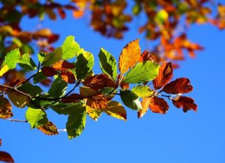 Co oznacza dotyk dla faceta? Co oznacza dotyk dla faceta?