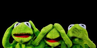 Czy można słyszeć swoje zapowiedzi?