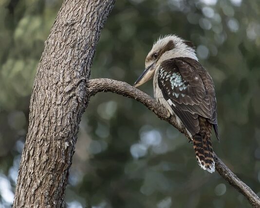 Na co patrzy facet zauroczony? Na co patrzy facet zauroczony?