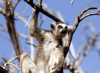 Jakie zachowania kręcą facetów?