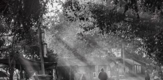 Czy bez Pasuje do szarości?