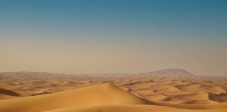 Jak kupić auto w Dubaju?