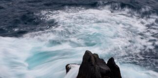 Jaka jest cena nowej Toyoty Auris?