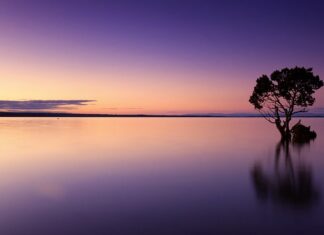 Jak radzić sobie z samotnością w małżeństwie?