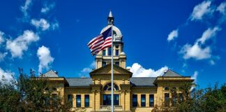 Jak sprawdzić vin auta z Japonii?