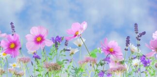 Czy kłamstwo popłaca?